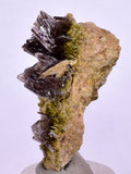 4.3cms AXINITE QUARTZ CRYSTALS Cluster Prehnite Peru Mineral Specimen Collectors A572