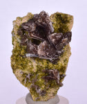 4.3cms AXINITE QUARTZ CRYSTALS Cluster Prehnite Peru Mineral Specimen Collectors A572