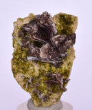 4.3cms AXINITE QUARTZ CRYSTALS Cluster Prehnite Peru Mineral Specimen Collectors A572