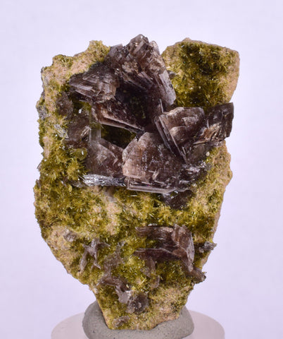 4.3cms AXINITE QUARTZ CRYSTALS Cluster Prehnite Peru Mineral Specimen Collectors A572