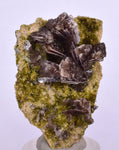 4.3cms AXINITE QUARTZ CRYSTALS Cluster Prehnite Peru Mineral Specimen Collectors A572