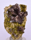 4.3cms AXINITE QUARTZ CRYSTALS Cluster Prehnite Peru Mineral Specimen Collectors A572