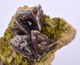 4.3cms AXINITE QUARTZ CRYSTALS Cluster Prehnite Peru Mineral Specimen Collectors A572
