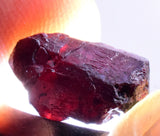 6.5cts PROUSTITE RUBY SILVER Crystals Uchucchacua Mine Peru Mineral Specimen H327