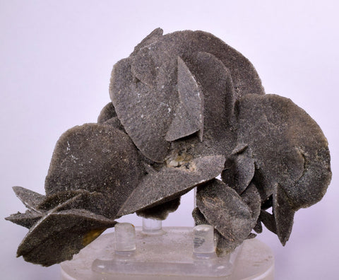 12cms SELENITE DESERT ROSE Gypsum Crystals Collectors Peru Mineral Specimen t412