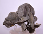 12cms SELENITE DESERT ROSE Gypsum Crystals Collectors Peru Mineral Specimen t412