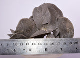 12cms SELENITE DESERT ROSE Gypsum Crystals Collectors Peru Mineral Specimen t412