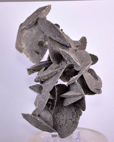 12.5cms SELENITE DESERT ROSE Gypsum Crystals Collectors Peru Mineral Specimen t413