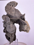 12.5cms SELENITE DESERT ROSE Gypsum Crystals Collectors Peru Mineral Specimen t413