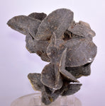 10cms SELENITE DESERT ROSE Gypsum Crystals Collectors Peru Mineral Specimen t414
