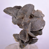10cms SELENITE DESERT ROSE Gypsum Crystals Collectors Peru Mineral Specimen t414