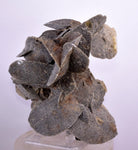10cms SELENITE DESERT ROSE Gypsum Crystals Collectors Peru Mineral Specimen t414