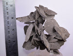 12.5cms SELENITE DESERT ROSE Gypsum Crystals Collectors Peru Mineral Specimen t415