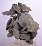 12.5cms SELENITE DESERT ROSE Gypsum Crystals Collectors Peru Mineral Specimen t415