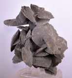 12.5cms SELENITE DESERT ROSE Gypsum Crystals Collectors Peru Mineral Specimen t415