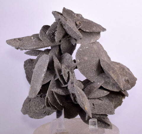 12.5cms SELENITE DESERT ROSE Gypsum Crystals Collectors Peru Mineral Specimen t415