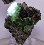 5.1cms GEOCRONITE GREEN FLUORITE Pyrite Quartz Crystal Peru Milpo Atacocha Shiny K88