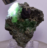 5.1cms GEOCRONITE GREEN FLUORITE Pyrite Quartz Crystal Peru Milpo Atacocha Shiny K88