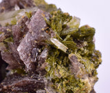 3.2cms AXINITE EPIDOTE  HEMATITE Crystals Cluster Prehnite Peru Mineral Specimen Collectors C998