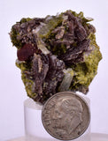 3.2cms AXINITE EPIDOTE  HEMATITE Crystals Cluster Prehnite Peru Mineral Specimen Collectors C998