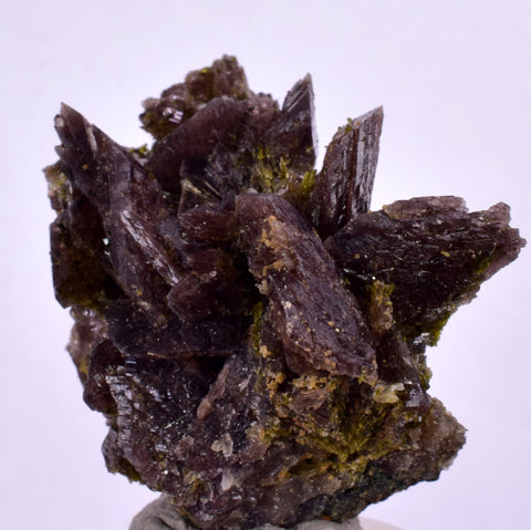 3.4cms AXINITE EPIDOTE Crystals Cluster Prehnite Peru Mineral Specimen Collectors C999