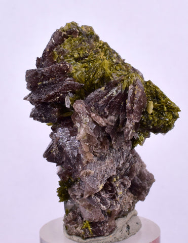 4.4cms AXINITE EPIDOTE QUARTZ Crystals Cluster Prehnite Peru Mineral Specimen Collectors C05