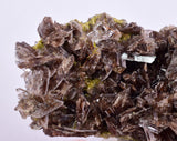 6.6cms AXINITE QUARTZ CRYSTALS Cluster Prehnite Peru Mineral Specimen Collectors A566
