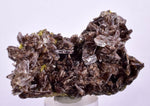 6.6cms AXINITE QUARTZ CRYSTALS Cluster Prehnite Peru Mineral Specimen Collectors A566
