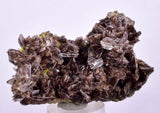 6.6cms AXINITE QUARTZ CRYSTALS Cluster Prehnite Peru Mineral Specimen Collectors A566