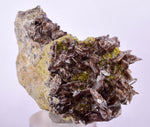 6.6cms AXINITE QUARTZ CRYSTALS Cluster Prehnite Peru Mineral Specimen Collectors A566