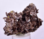 6.6cms AXINITE QUARTZ CRYSTALS Cluster Prehnite Peru Mineral Specimen Collectors A566