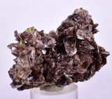 6.6cms AXINITE QUARTZ CRYSTALS Cluster Prehnite Peru Mineral Specimen Collectors A566