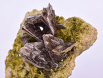 4.3cms AXINITE QUARTZ CRYSTALS Cluster Prehnite Peru Mineral Specimen Collectors A572