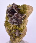 4.3cms AXINITE QUARTZ CRYSTALS Cluster Prehnite Peru Mineral Specimen Collectors A572