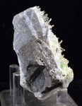 7.1cms AUGELITE CRYSTAL PERU Dark Green Bright Needle Quartz Pasto Bueno Rare Gemstone Facet Grade A574