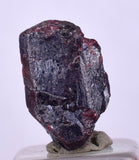 6.5cts PROUSTITE RUBY SILVER Crystals Uchucchacua Mine Peru Mineral Specimen H327