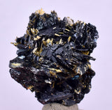 2.5cms GOLDEN RUTILE HEMATITE Spray Needles Crystals Titanium Bahia Brazil Mineral Spacimen  X20