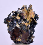 2.5cms GOLDEN RUTILE HEMATITE Spray Needles Crystals Titanium Bahia Brazil Mineral Spacimen  X20