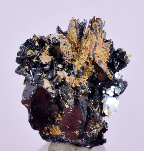2.5cms GOLDEN RUTILE HEMATITE Spray Needles Crystals Titanium Bahia Brazil Mineral Spacimen  X20