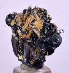2.5cms GOLDEN RUTILE HEMATITE Spray Needles Crystals Titanium Bahia Brazil Mineral Spacimen  X20