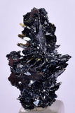 2.7cms GOLDEN RUTILE HEMATITE Spray Needles Crystals Titanium Bahia Brazil Mineral Spacimen  X23