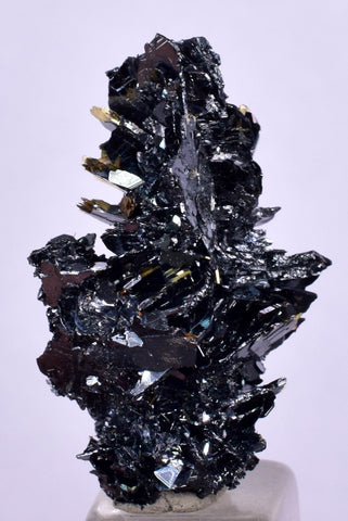 2.7cms GOLDEN RUTILE HEMATITE Spray Needles Crystals Titanium Bahia Brazil Mineral Spacimen  X23