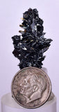 2.7cms GOLDEN RUTILE HEMATITE Spray Needles Crystals Titanium Bahia Brazil Mineral Spacimen  X23