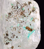 7.5cms CHRYSOCOLLA SELENITE CRYSTALS Lily Mine Peru Gypsum Mineral Specimen T418
