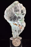 7.5cms CHRYSOCOLLA SELENITE CRYSTALS Lily Mine Peru Gypsum Mineral Specimen T418
