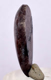 18.5cts GEM AXINITE PURPLE Cabochon Peru Super Shiny Rare Mineral Specimen B89
