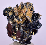 2.5cms GOLDEN RUTILE HEMATITE Spray Needles Crystals Titanium Bahia Brazil Mineral Spacimen  X20