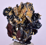 2.5cms GOLDEN RUTILE HEMATITE Spray Needles Crystals Titanium Bahia Brazil Mineral Spacimen  X20