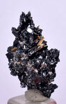 2.7cms GOLDEN RUTILE HEMATITE Spray Needles Crystals Titanium Bahia Brazil Mineral Spacimen  X23