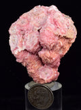 5.4cms RHODOCHROSITE RHOMBOHEDRAL Crystals Peru Collector Mineral Specimen RZ650